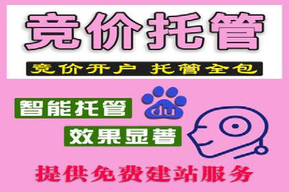 成功案例解析：SEM竞价托管的优化之路