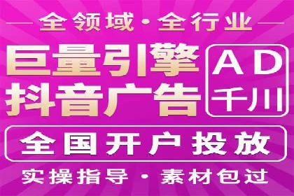 不同平台的SEM广告投放比较及成功案例分析